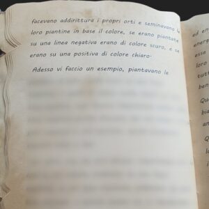 LE LINEE - PAGINA 10