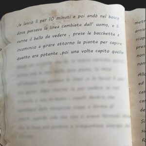 LE LINEE - PAGINA 14
