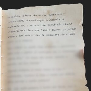 LE LINEE - PAGINA 17