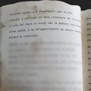 LE LINEE - PAGINA 20