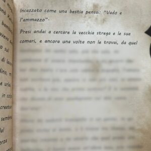 LE LINEE - PAGINA 29