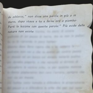 LE LINEE - PAGINA 39