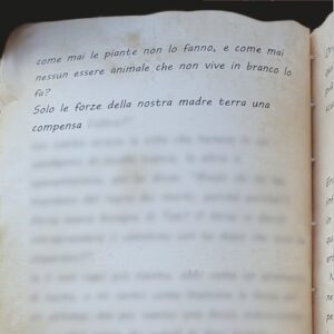 LE LINEE - PAGINA 40
