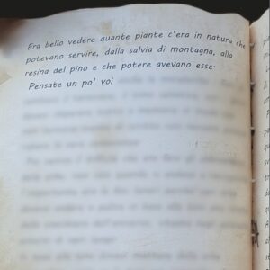 LE LINEE - PAGINA 42