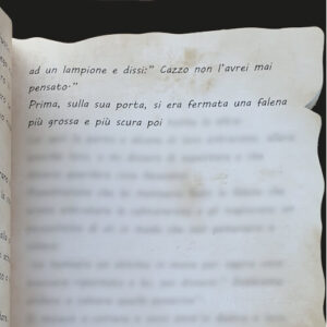 LE LINEE - PAGINA 49