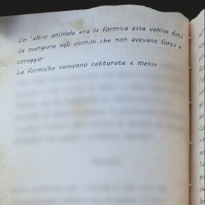 LE LINEE - PAGINA 52